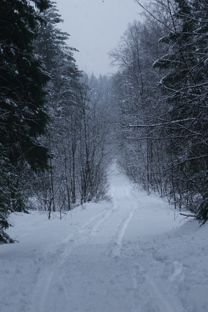 Алина Шейдакова | Санкт-Петербург