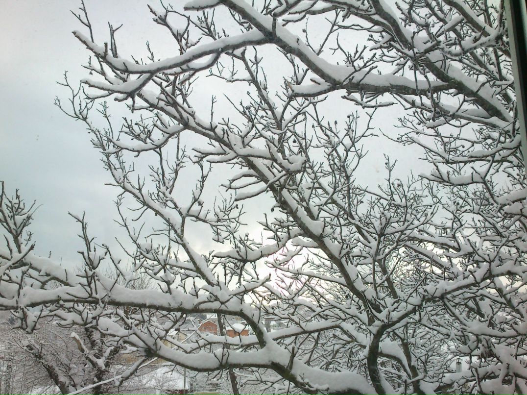 Александр Еременко 