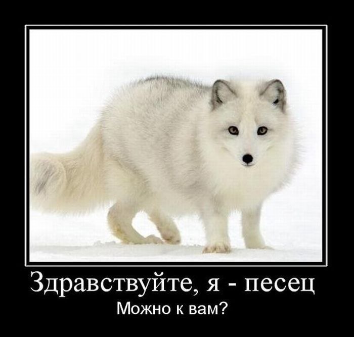 Настя Морозова | Николаев