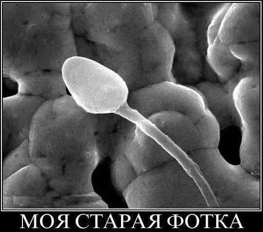 Ігор Середюк | Луцк