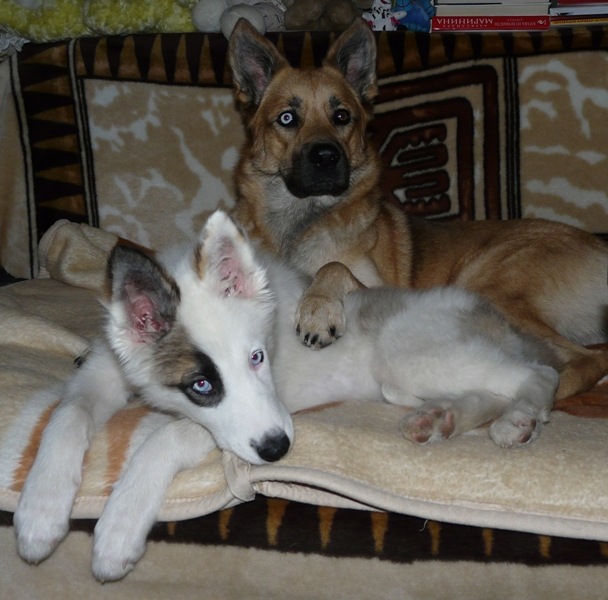 Фото профиля