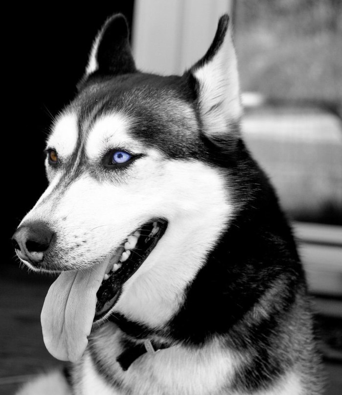 Анастасия Сергеевна | Винница