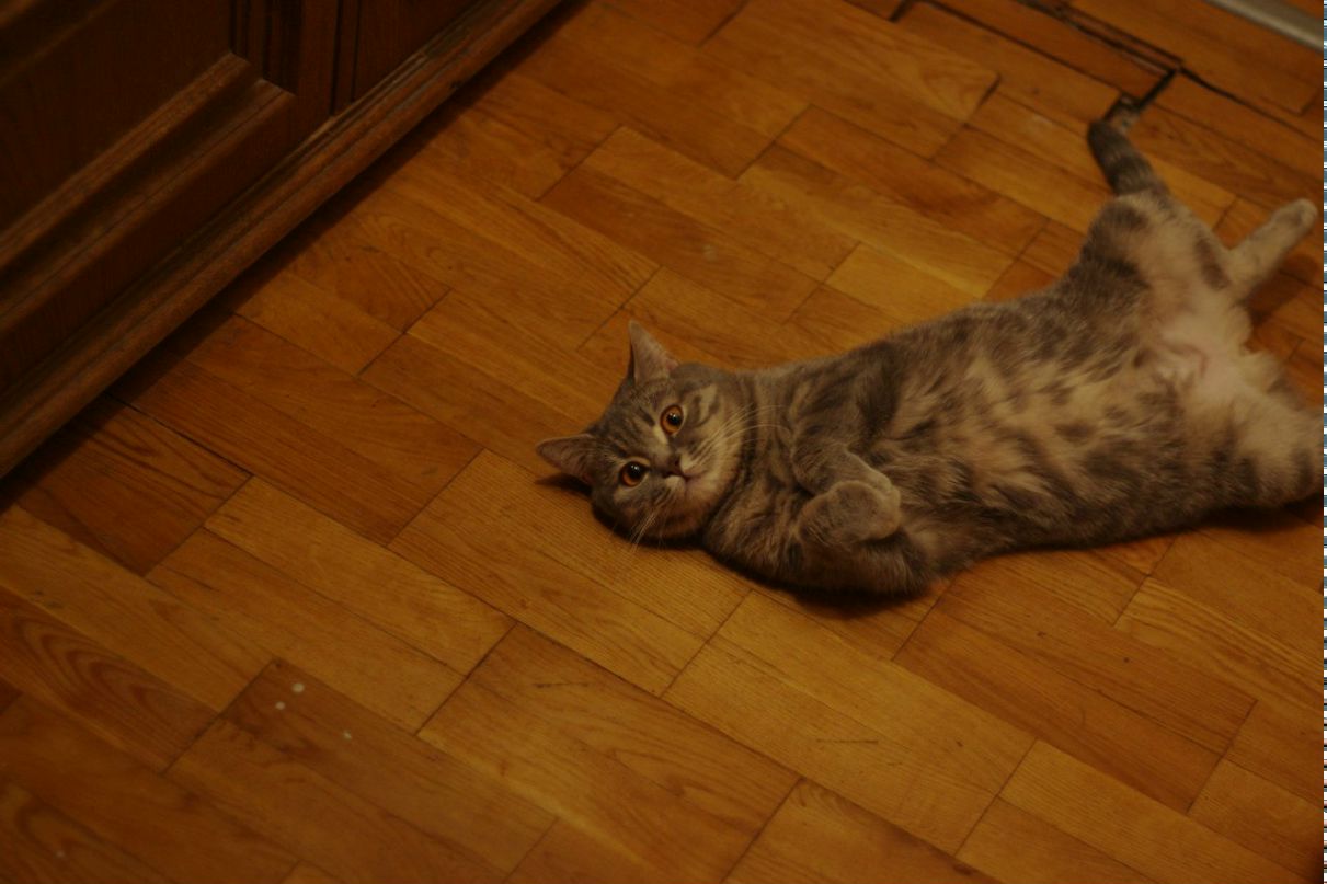 Ольга Позирайло la_lyna | Киев