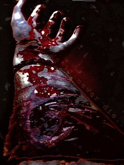 Ronzs Wolfran MFA13 | 