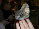 №36 Кристина Котюгина 09.03.1998: профиль, фото, статус - ВКонтакте