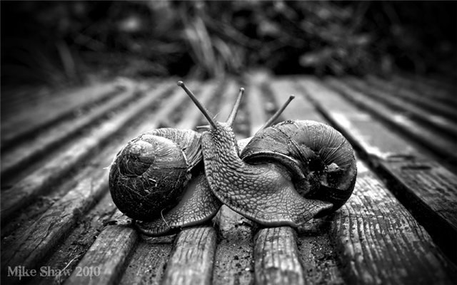 Алексей Шляхтин | Иркутск