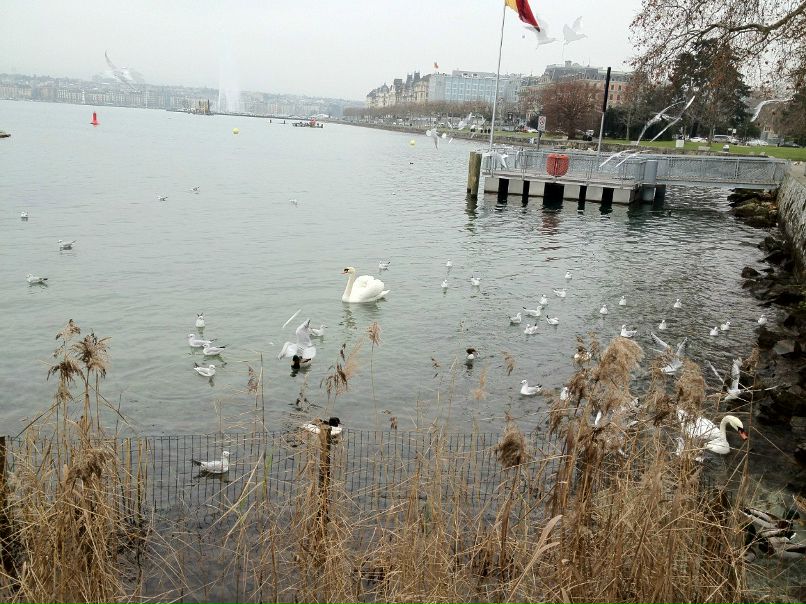 Радмила Грекова | Белгород