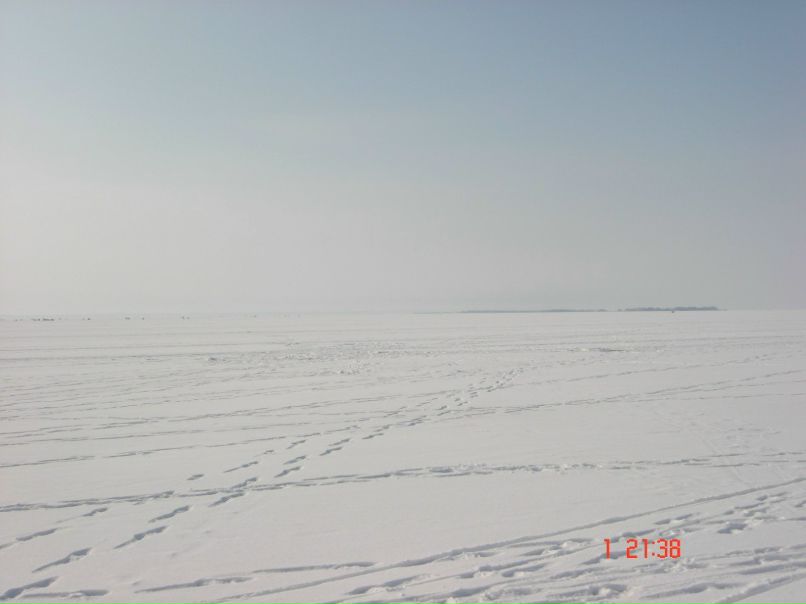 Николай Биленко | Запорожье