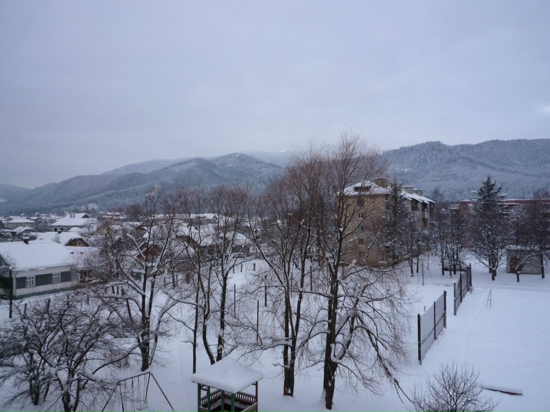 Ivanna Levytska | Сколе