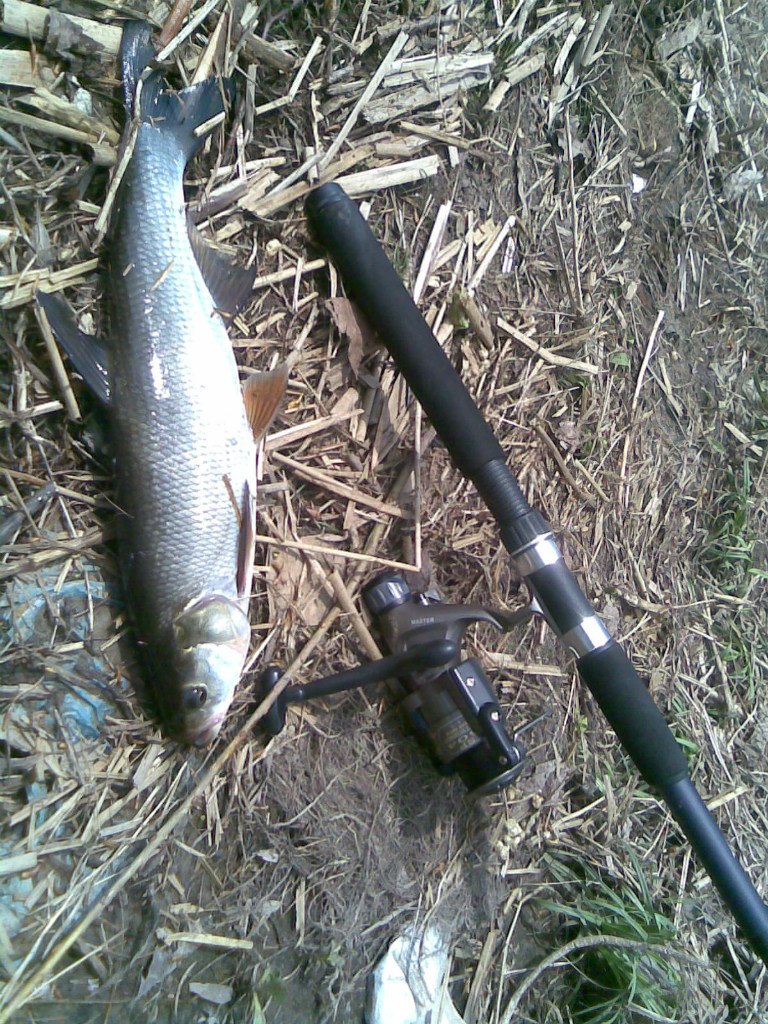 Сергей Загородский | Киев