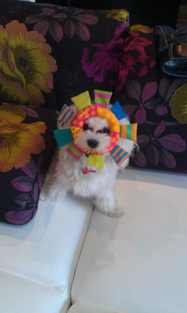 Андрей Глотов | Воронеж