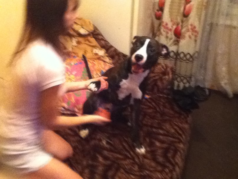 Kat Kan пил и пил | Санкт-Петербург