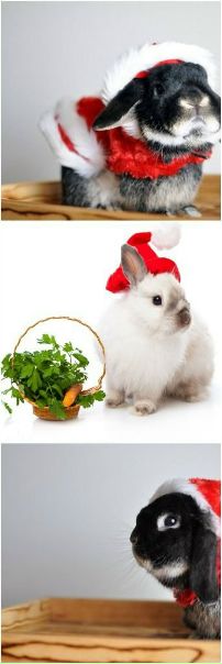 №48, Мария Стешанкова, Киев №48, Мария Стешанкова, Киев