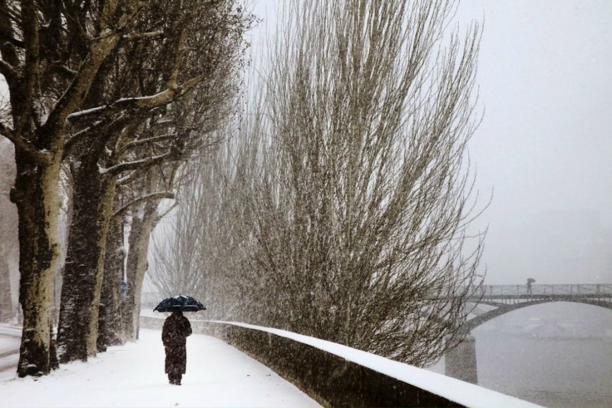 Николай Плеханов | Новосибирск