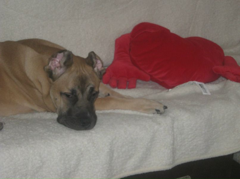 Ольга Печенко | Санкт-Петербург