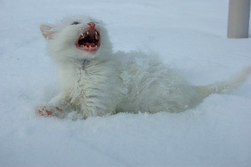 Сергей Иванов | Краснодар