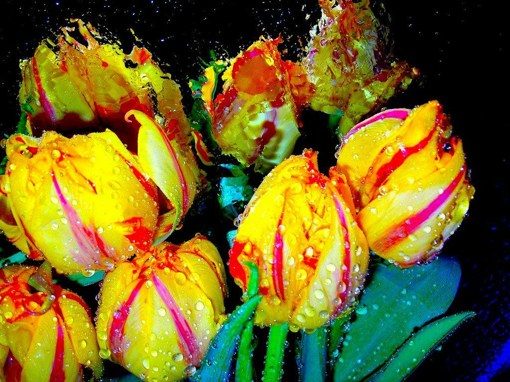 Наталья Родина | Севастополь