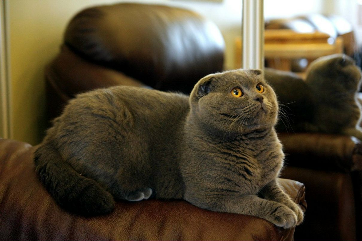 Екатерина Лопатинская | Санкт-Петербург