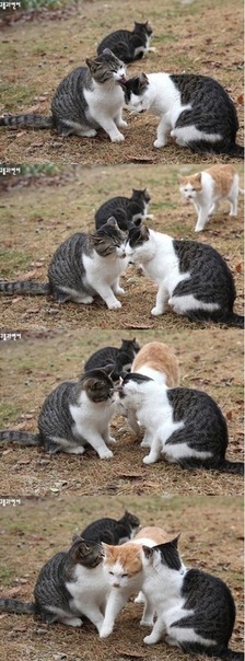 №67, Ксения Третьякова, Волгоград №67, Ксения Третьякова, Волгоград