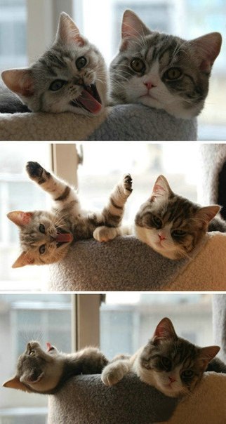 Zinulya Stoletneva | Москва