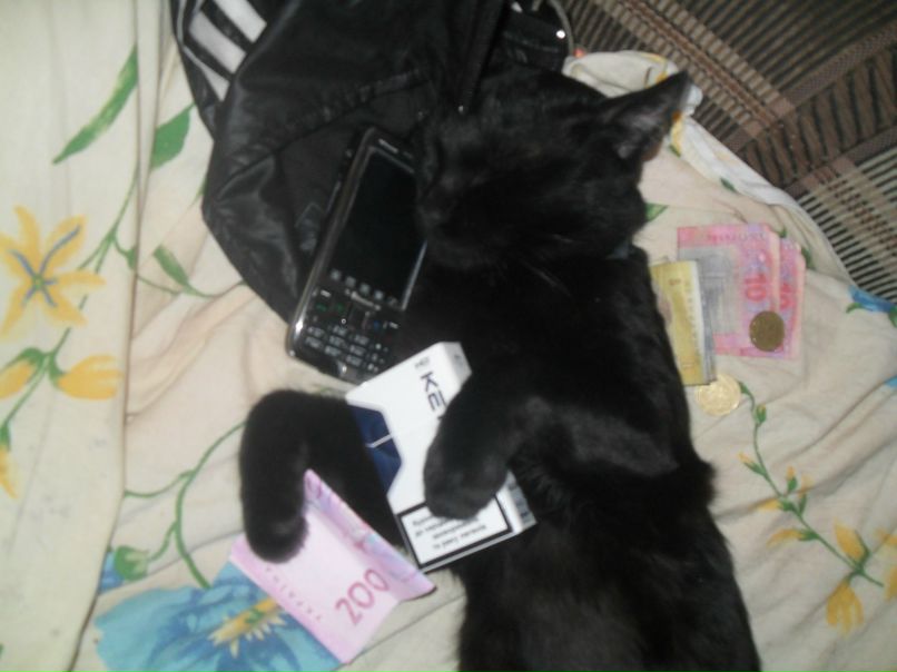 Станислав Селицкий | Запорожье