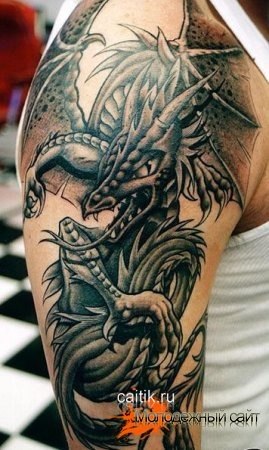 Дмитрий Беседин | Сочи