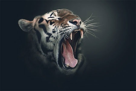 №61, Даша Мисько, Киев №61, Даша Мисько, Киев