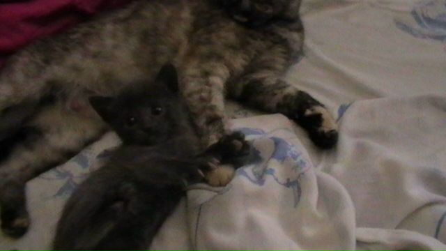 №148, Вероника Шпагина, 36 лет, Москва №148, Вероника Шпагина, 36 лет, Москва