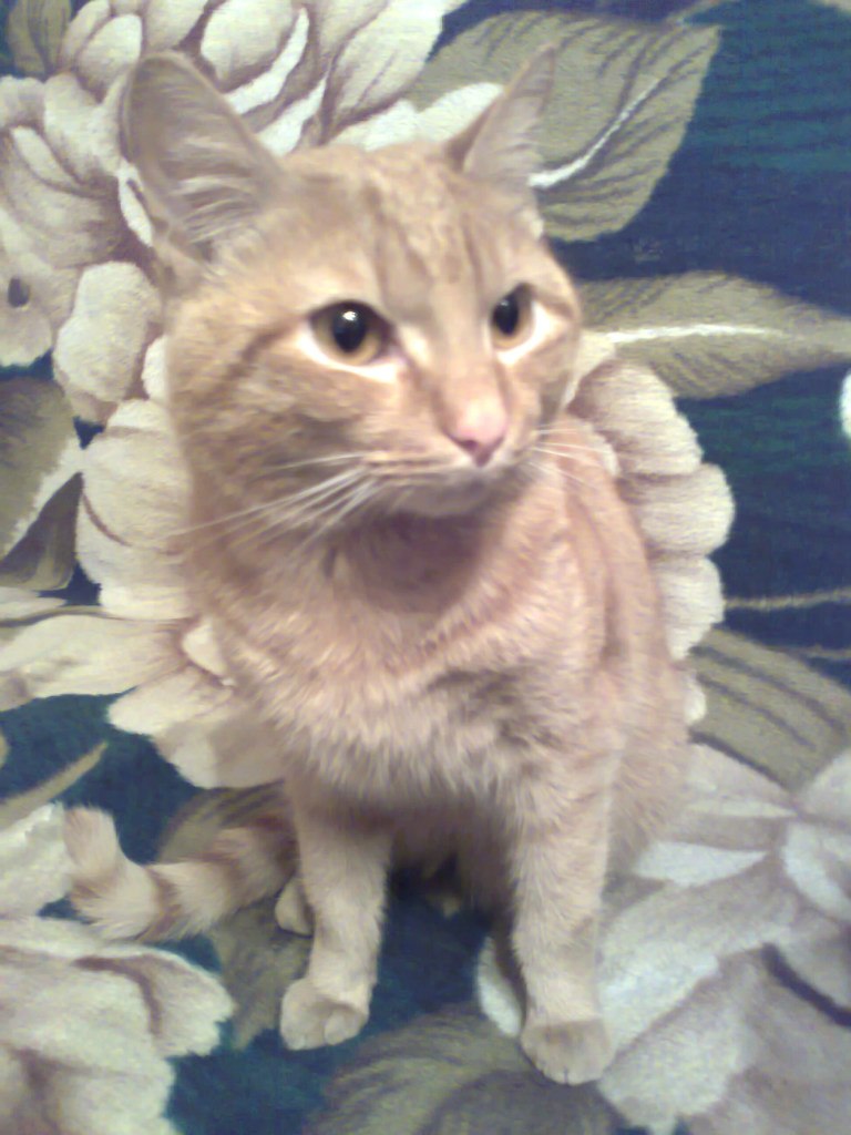 Ренат Кабанов АБЫЙ® | Пермь