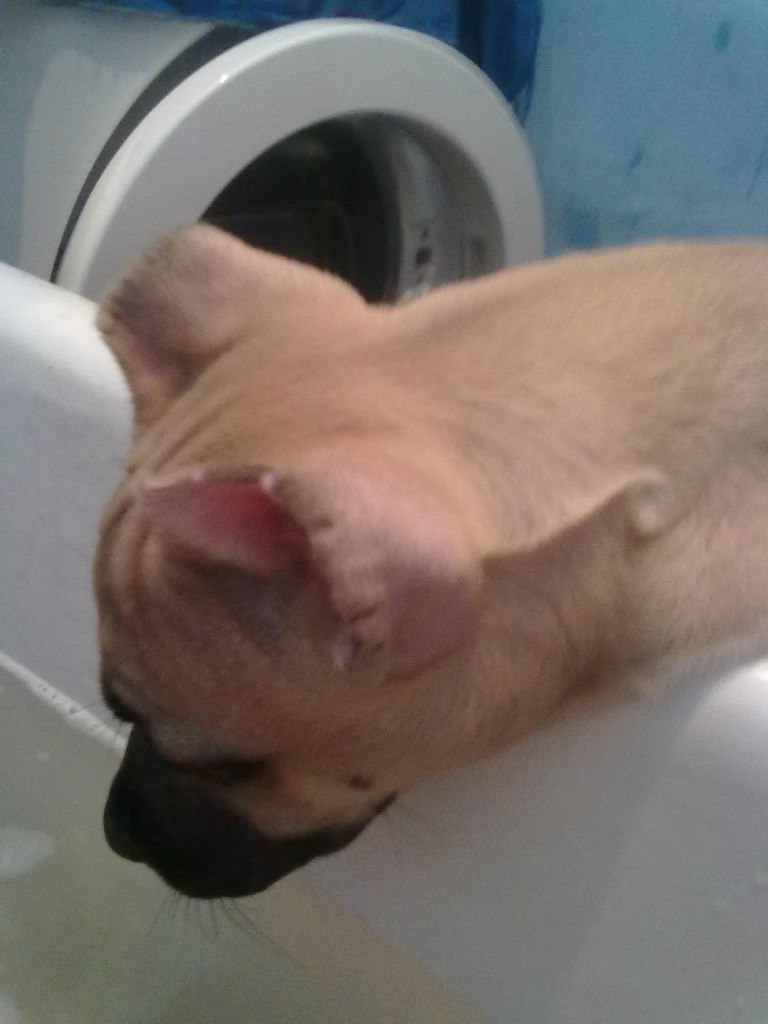 Алексей Быков | Ачинск