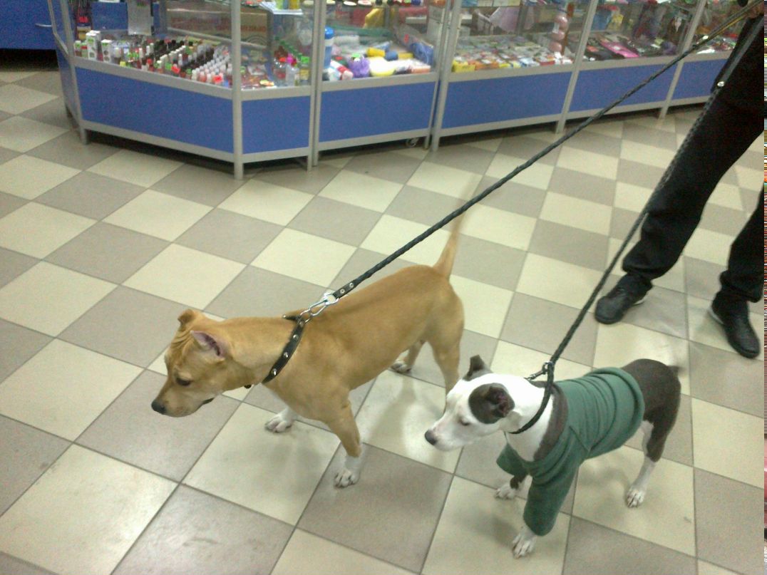 Алёна Мельник | Желтые Воды