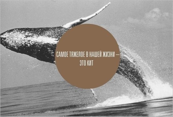 №79, Ashur Sharopov, Москва №79, Ashur Sharopov, Москва