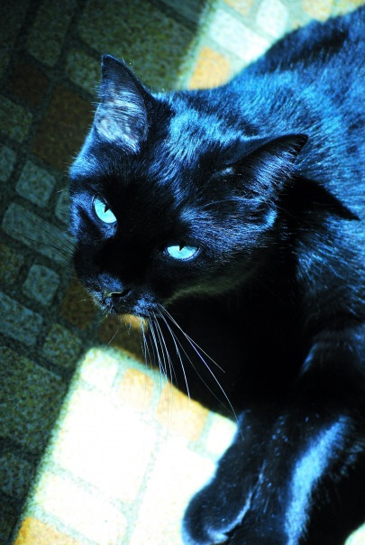 №119, Yulianna Aleksandrova №119, Yulianna Aleksandrova