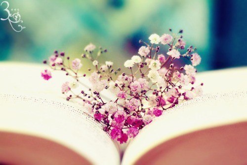 Жаныл Тоймаматова | Москва