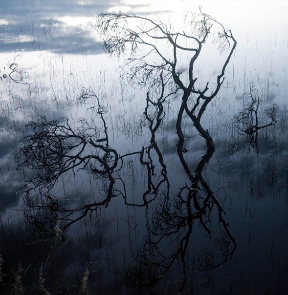 Натис Император | Москва