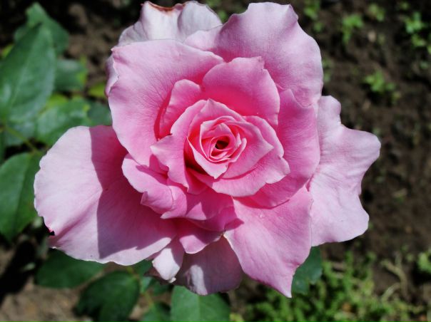 №6, Мила Попова, Москва №6, Мила Попова, Москва