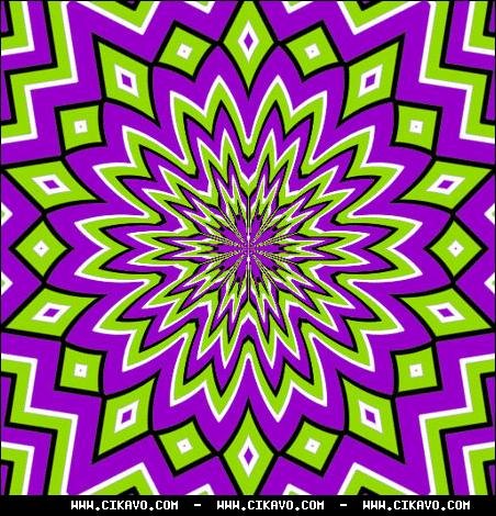 Дмитрий Бондар | Киев