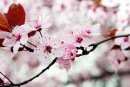 Фотография Маргариты Маргариты