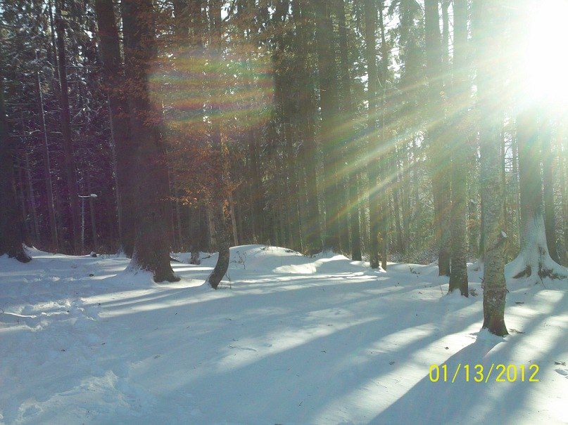 Сергей Лукьянчук | Ровно