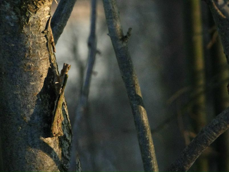 №14, Юля Рыжая №14, Юля Рыжая