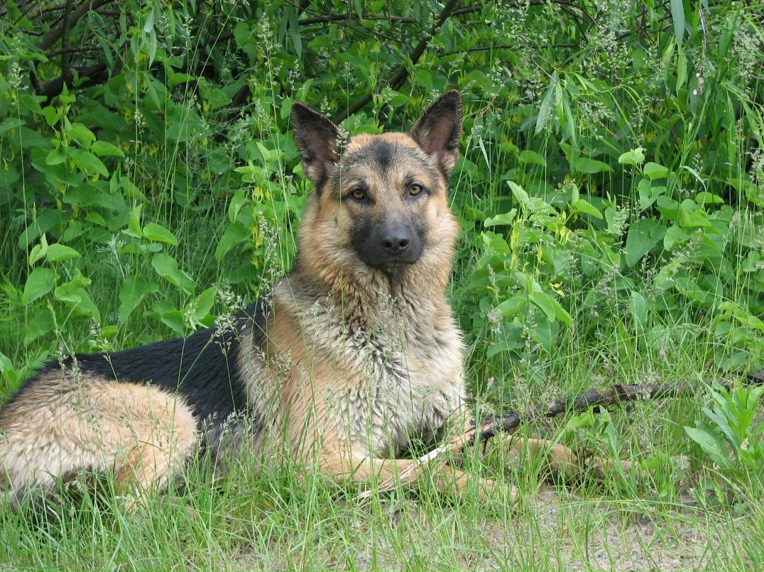 Алексей Мартынюк | Киев