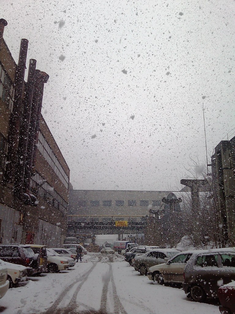 Денис Игнатенко | Барнаул