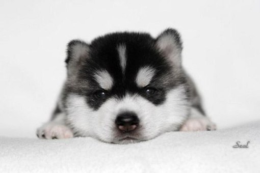 Наталя Воробйова | Винница