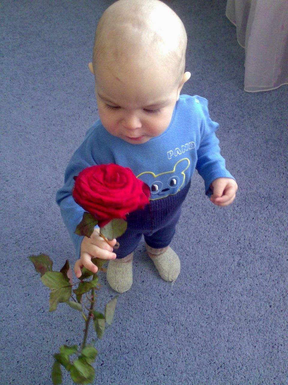 Вероника Ковина | Пермь