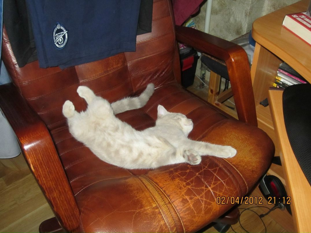 Татьяна Салажова | Санкт-Петербург