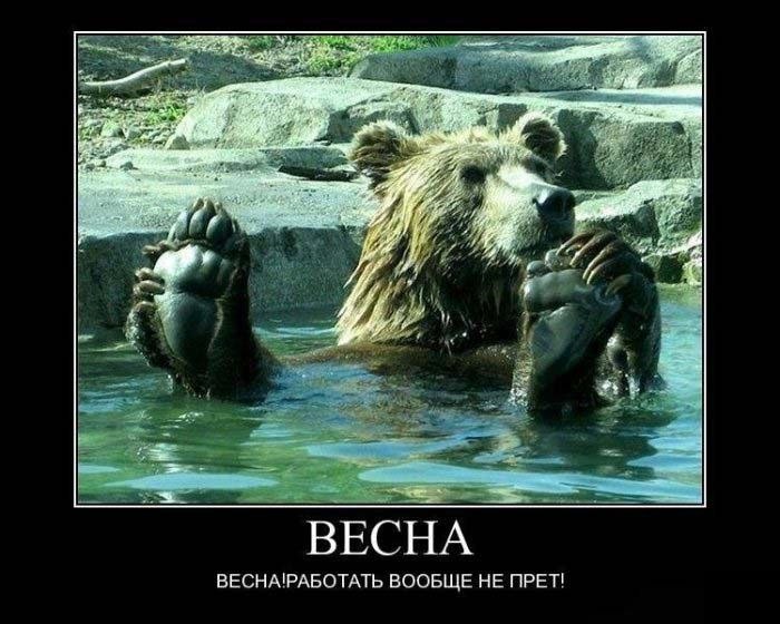 Андрей Чапковский | Минск