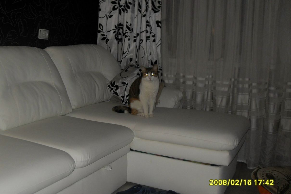 Анна Смородина | Санкт-Петербург