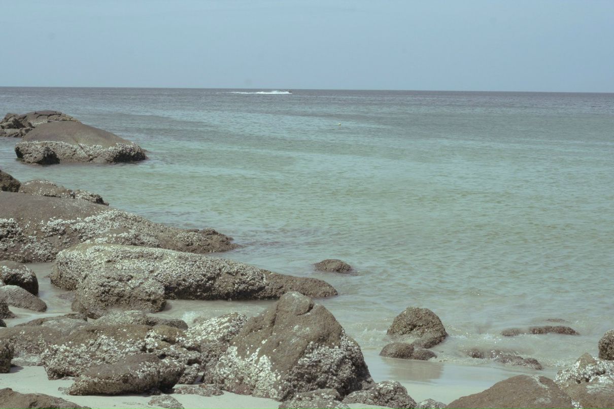 Мария Хандак | Москва