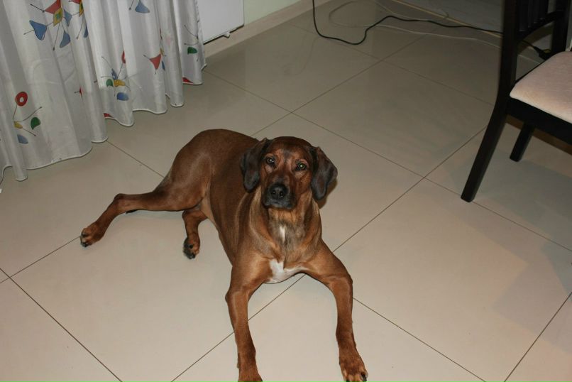 Даша Райскина | Москва