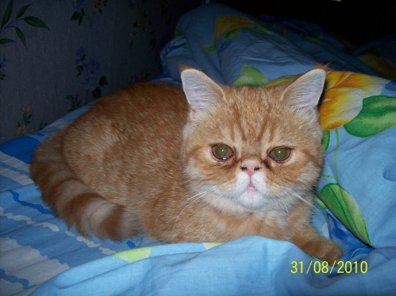 Расима Ишбулдина | Москва